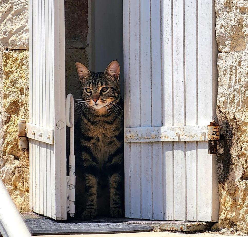 Gite Le Bonheur Hiersac Kültér fotó